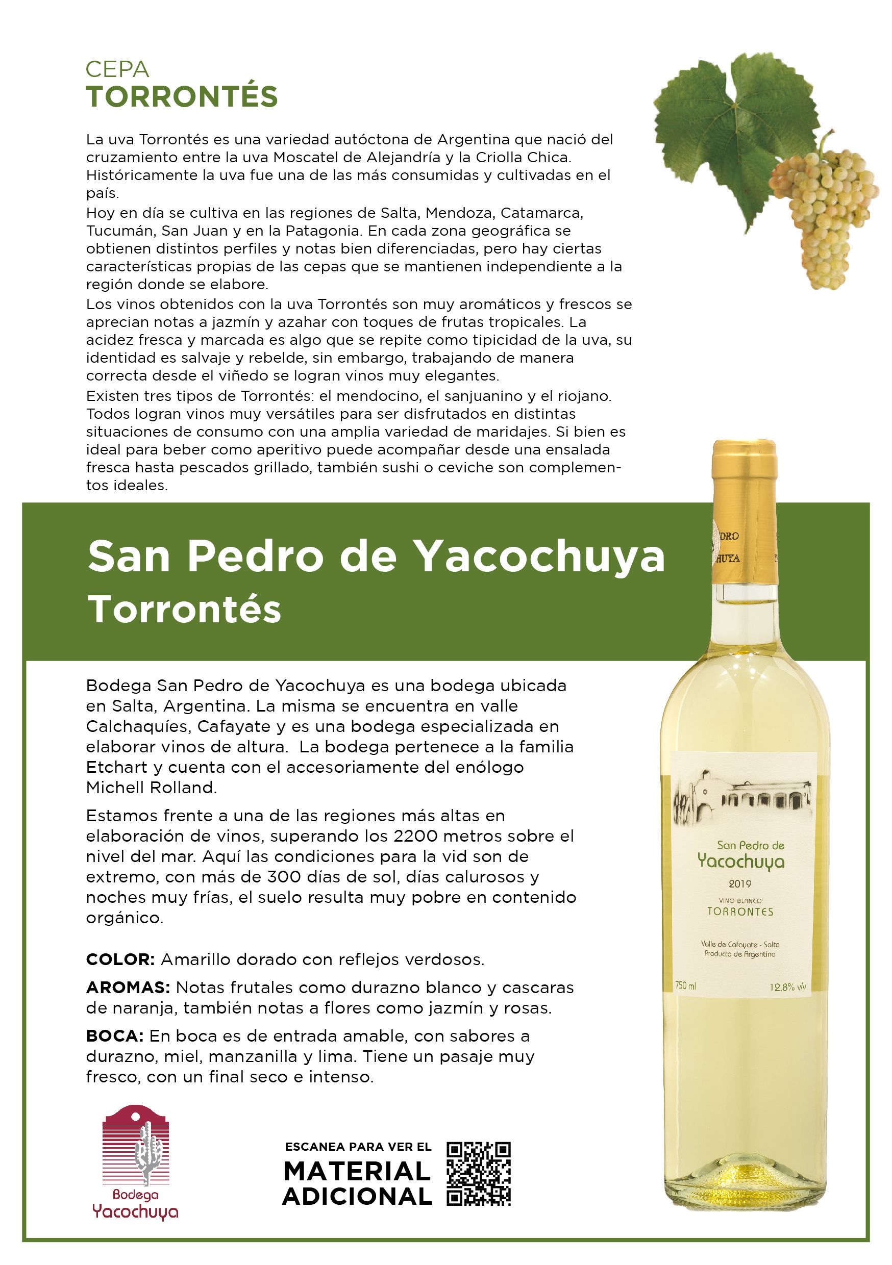 Odoo • Imagen y texto