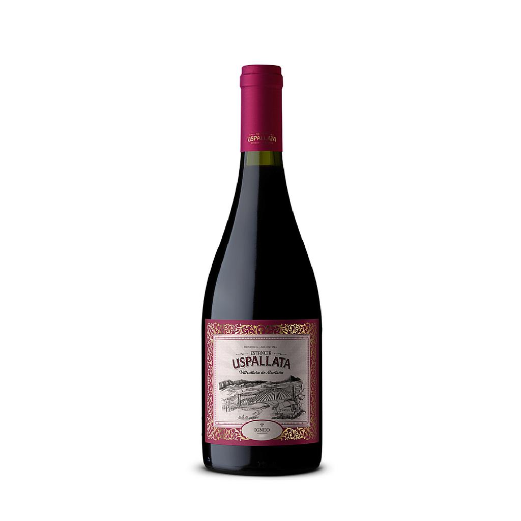 VINO ESTANCIA USPALLATA IGNEO 750 ML
